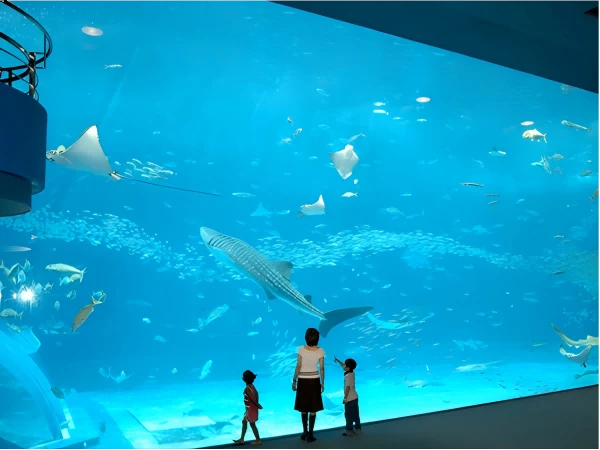 Aquarium Design Using Acrylic Panels Aquarium Design Using Acrylic Panels