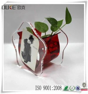 Hoge kwaliteit Superior Design Aangepaste Acryl Aquariums Acryl Tank
