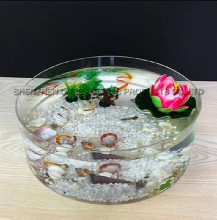 Winkel Retail zwart acryl brief verzamelvak Buffet Trays gepersonaliseerde Lucite verzamelvak